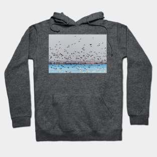 And Then The Cormorants Arrived Hoodie